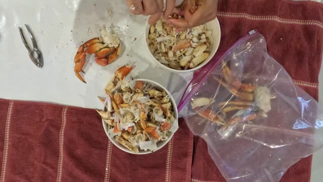 Top down time lapse of a bag full of crab being cracked.