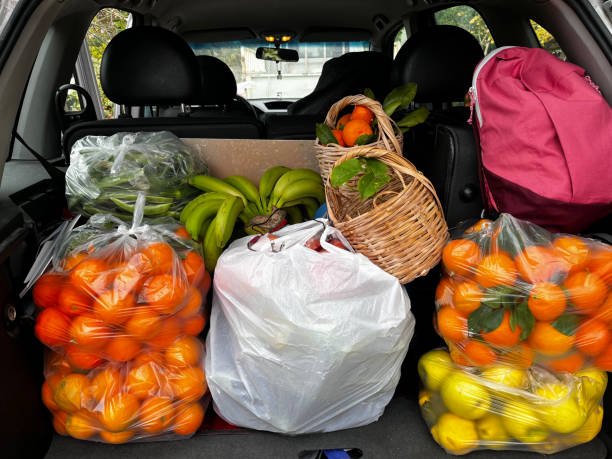 istock Various fruits placed in the car boot for the journey. 1905416114