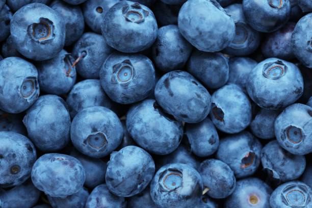 istock Fresh tasty blueberries as background, top view 1905422834
