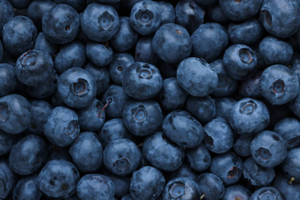 istock Fresh tasty blueberries as background, top view 1905423344