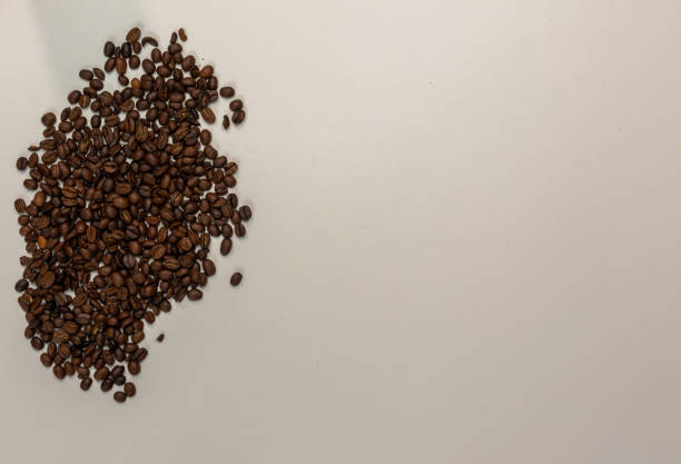 Flat lay composition of whole coffee beans with white background and copy space