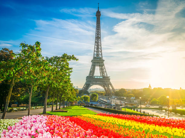 istock eiffel tour and from Trocadero, Paris 1905447925