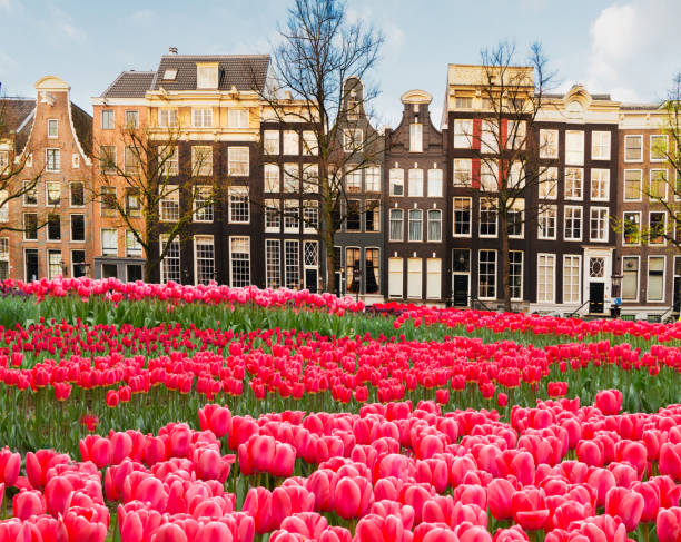 istock Houses of Amstardam, Netherlands 1905447953