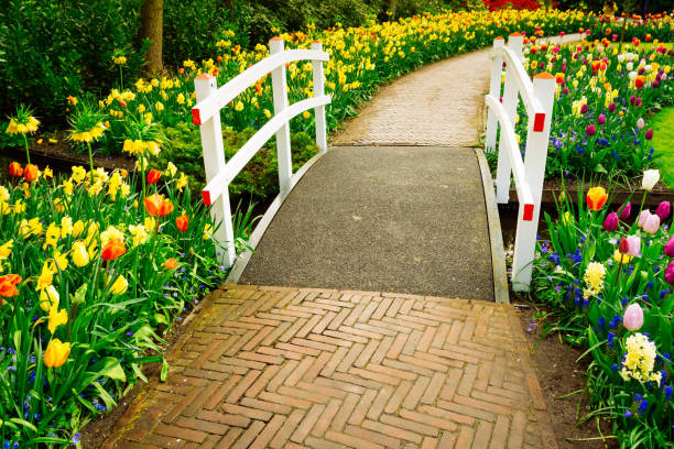 istock Stone walk way in garden 1905448470