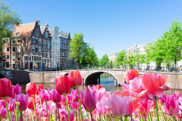 istock Houses of Amstardam, Netherlands 1905448474