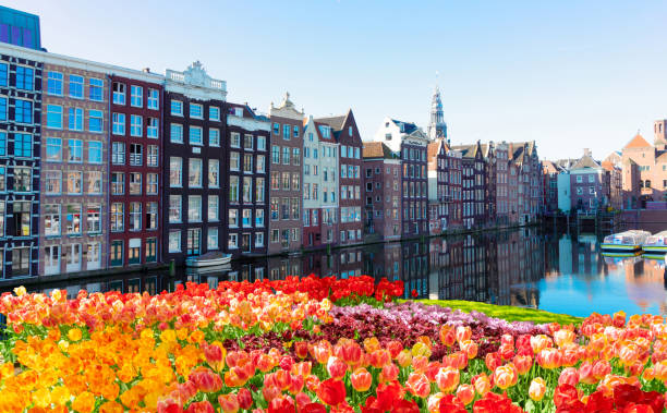 istock Houses of Amsterdam, Netherlands 1905448480