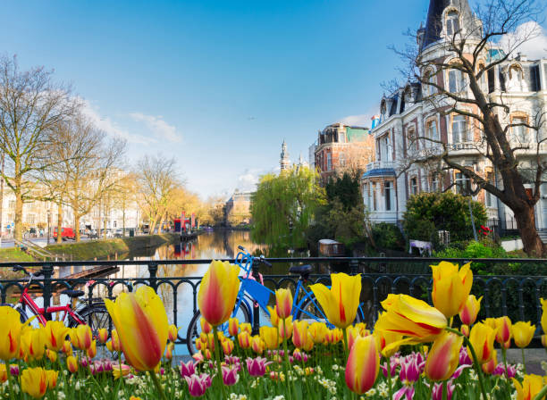 istock One of canals in Amsterdam 1905448489