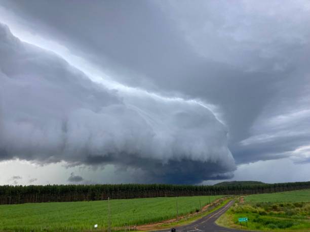 istock Lightning strike on the horizon during an electrical storm on the grassland 1905508363