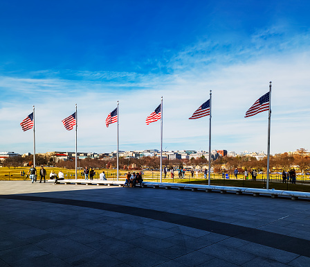 The American Flag displayed proudly in this field of U.S. Flags.