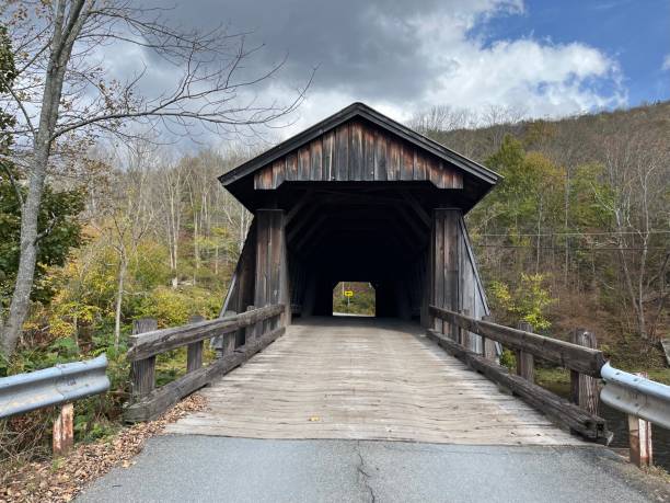 istock Livingston Manor Covered Bridge 1905517298