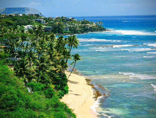 istock Beach and Ocean View from Diamond Head Lookout 1905536354