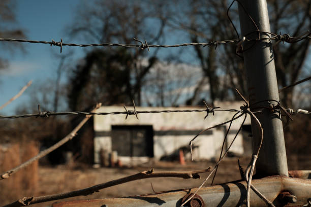 istock Daytime Metal Fence with Abandoned Building 1905538909