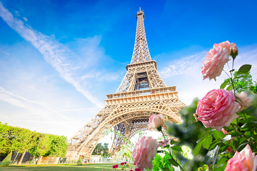 Paris Eiffel Tower with summer flowers in Paris, France. Eiffel Tower is one of the most iconic landmarks of Paris.