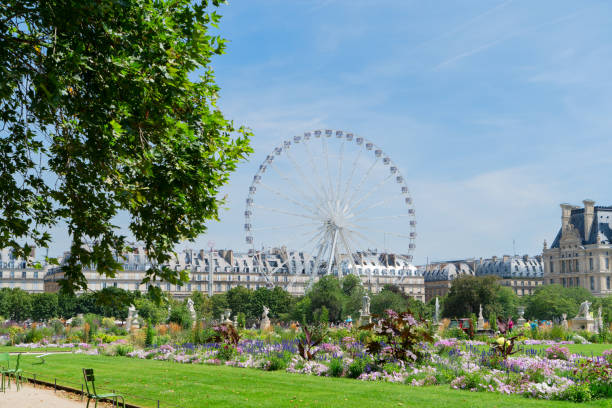 istock Tuileries garden, Paris 1905541490