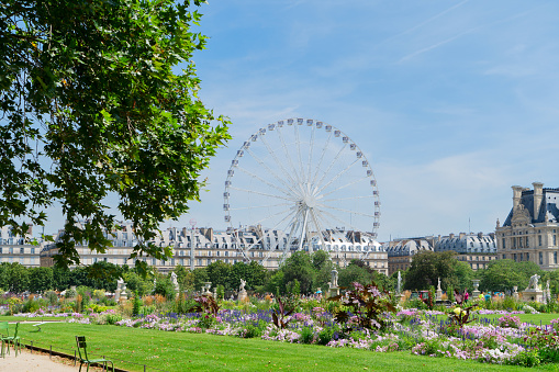 Summer holidays in Paris. Tuileries gardens with ferry wheel, in Paris France.