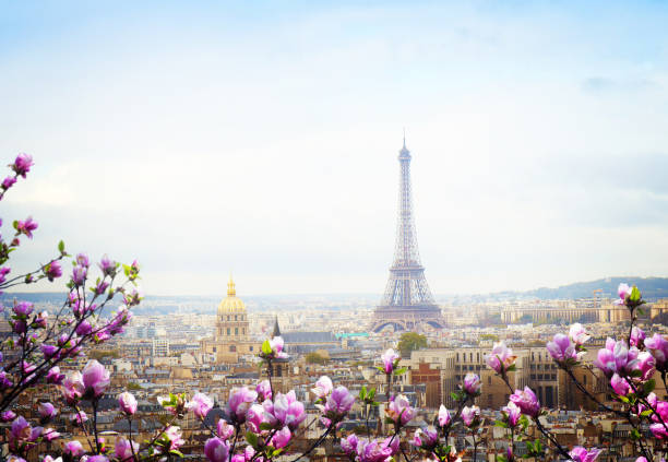 istock skyline of Paris with eiffel tower 1905541498