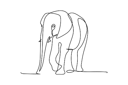 Elephant in continuous line art drawing style. Black linear sketch isolated on white background. Vector illustration