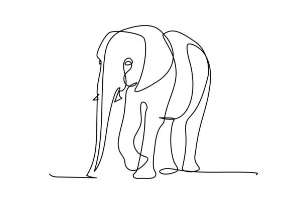 Vector illustration of Elephant outline