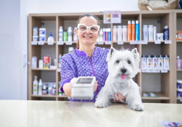 istock Friendly veterinary woman with a client's dog shows the dataphone so that the client can pay with his credit card wirelessly 1905546705