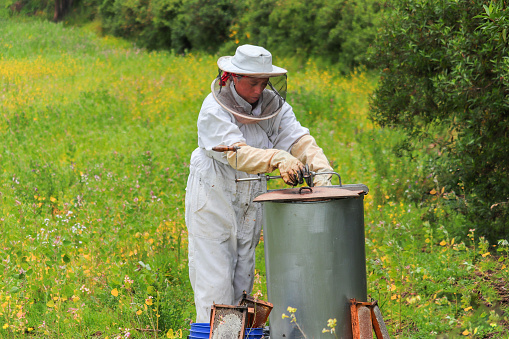Latina woman dressed as a beekeeper using a honey extractor machine in the midst of a yellow flowered field