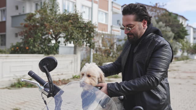 Millennial man and his dog riding motorcycle