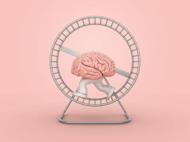 Exercise Hamster Cage Wheel with Brain Running stock photo