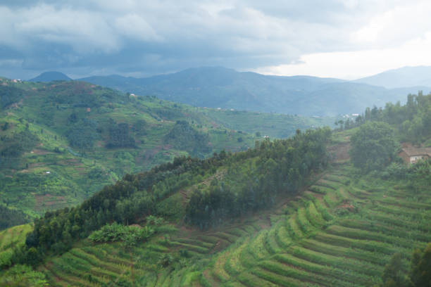 Rural landscapes