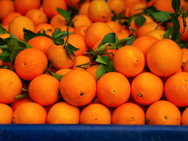 gruppo di primi piani di frutti arancioni nella bancarella del mercato di strada - for sale industry farmers market market stall foto e immagini stock