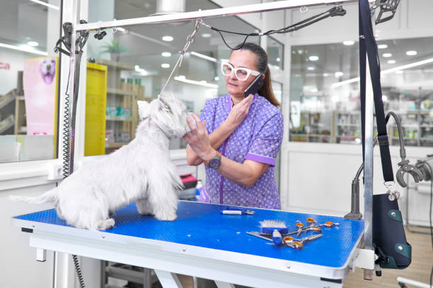 Mobile Pet Grooming