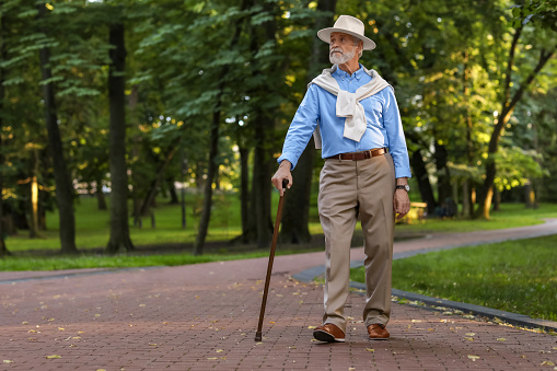 Senior man with walking cane in park. Space for text