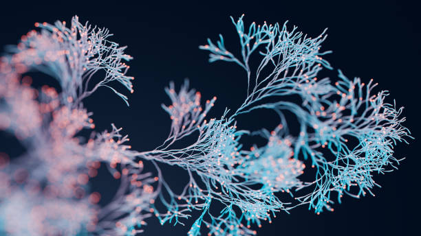 Growth Abstract background of plant with glowing tips fungus stock pictures, royalty-free photos & images