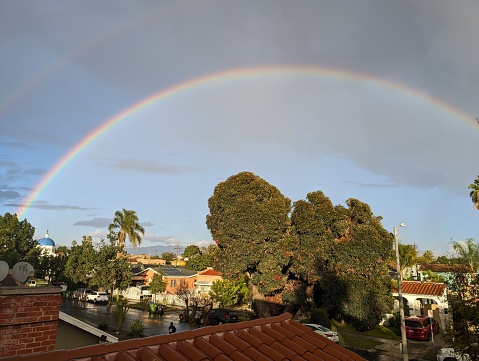 Rainbow spanning across the blue sky after a Winter storm in Los Angeles. Blue roofed church, palm trees and mountains in the background.