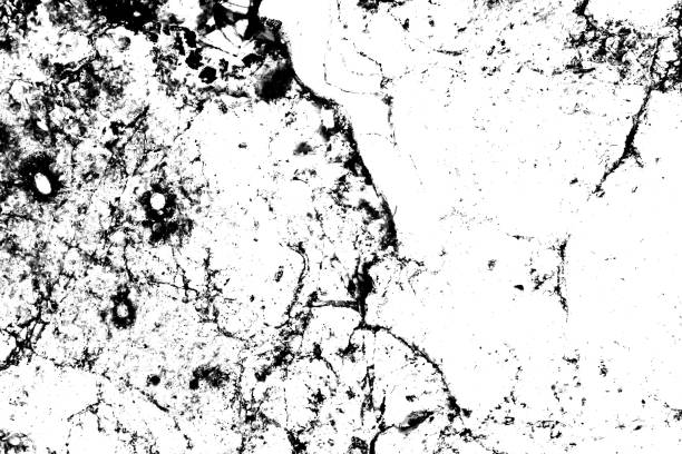 istock Abstract grunge black and white distressed texture background 1905744617