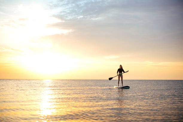 istock Young woman swimming on sup boards alone at sunset 1905768072