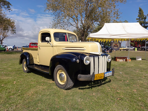Chascomus, Argentina - Apr 15, 2023: Old cream and black 1946 Ford pickup truck on the lawn at a classic car show. Nature, grass, trees. Sunny day