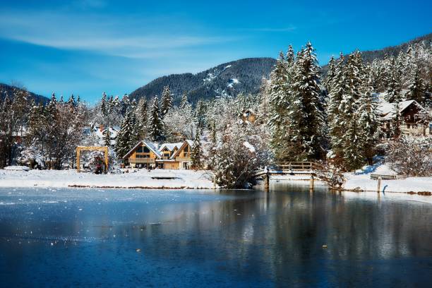 istock view on lake in Krajska Gora 1905845127