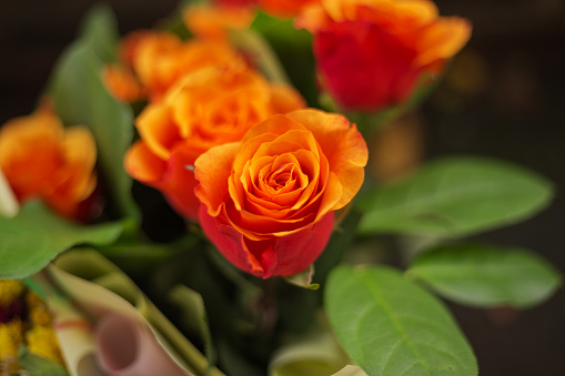 Bunch of orange rose blooms. Selective focus.