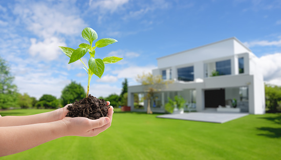 Hand hold seedling with modern, energy-efficient home in background, embracing eco-design, reducing SO2 emissions for a sustainable, green lifestyle concept