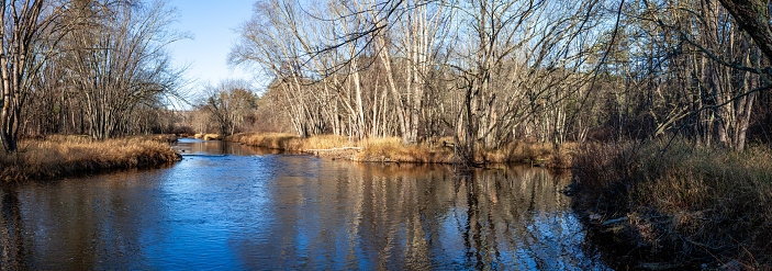 Rib River flowing through a Wisconsin forest, panorama