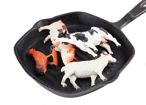 toy animals in a frying pan on white background