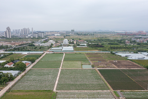 Agriculture Countryside Greenhouse Vegetables Pastoral Field