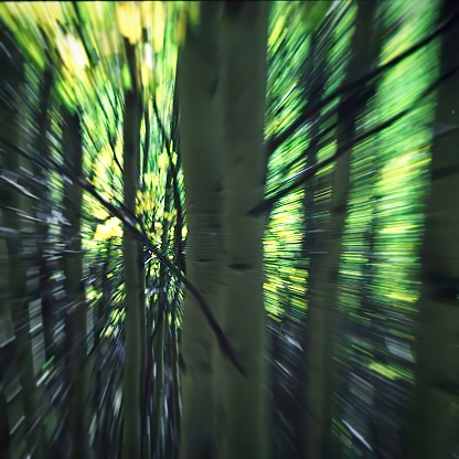 This photograph depicts a motion blur effect centered on a tree, creating a dynamic sense of rapid movement through a forested area.