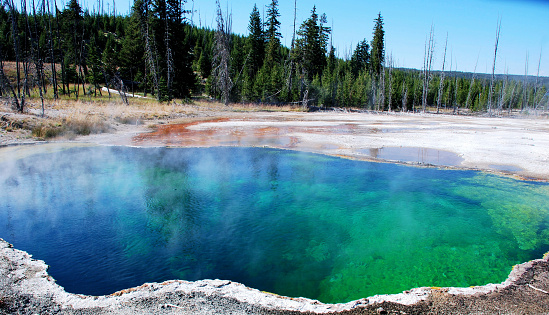 Colorful geysers hot springs in Yellowstone National Park, Wyoming Montana. Northwest. Yellowstone is a summer wonderland to watch the wildlife and natural landscape. Geothermal.