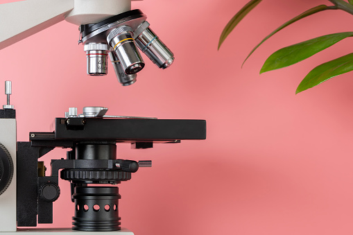 Close-up view of a microscope on a pink background. The microscope is a traditional design with a round base, a tall arm, and a binocular eyepiece. The objective lens is mounted on the end of the arm.