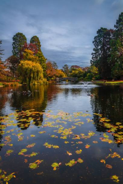 istock Cloudy Sky And Fall Leaves In A British Columbia Park Lake 1906129549