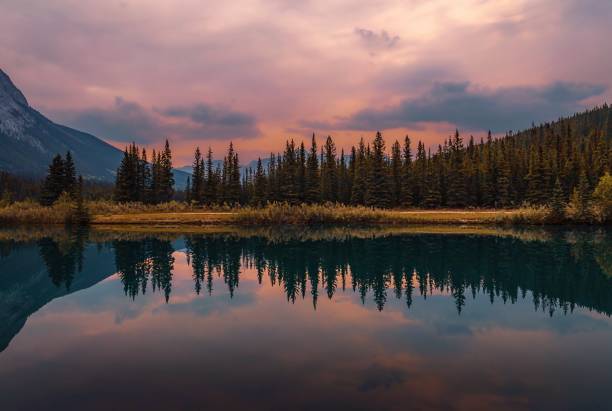 istock Panoramic Sunrise Reflections On A Banff Park Lake 1906131093