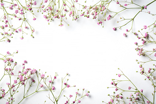 Spring pattern of pastel pink small flowers on twigs on a white background. With copy space in the middle. Flat lay