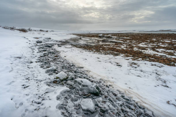 istock Winter by the Sea 1906187779