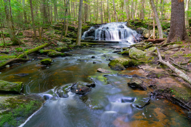 istock close up on flowing waterfall cascade in the river 1906196181