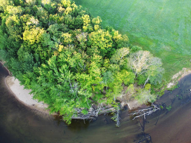 istock aerial view of trees on the river side 1906206099